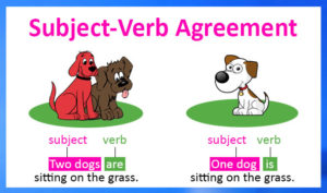 subject verb agreement