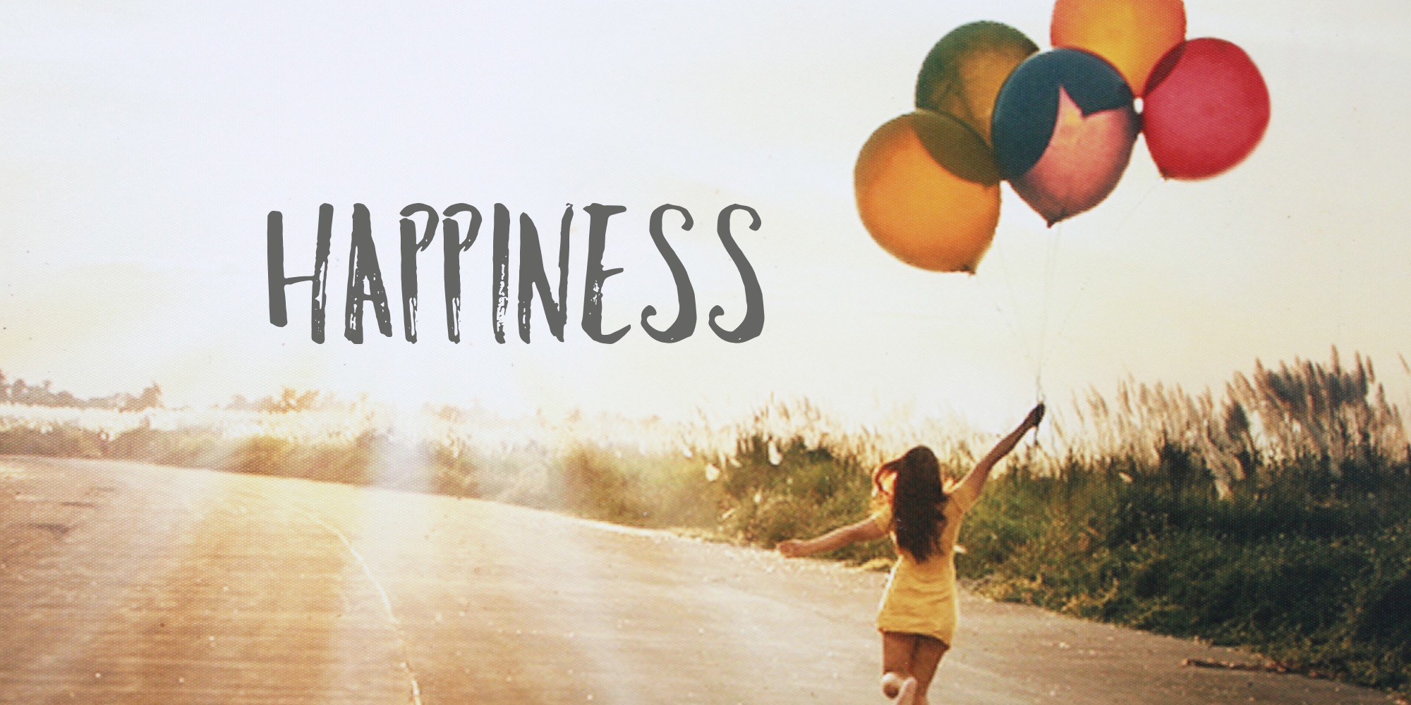 What Is Your Happiness In Life Brainly