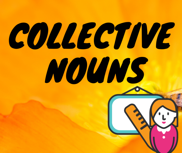 Collective Nouns | Example of Collective Noun | Grammar Lesson For English Speaking | Best English Speaking Course In Delhi